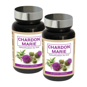 NUTRI EXPERT - Chardon Marie - Detox du Foie- Soutient le bon fonctionnement hépatique et du foie - Favorise le drainage - 100% extraits Chardon Marie naturel - Convient aux végans - Lot de 2 produits