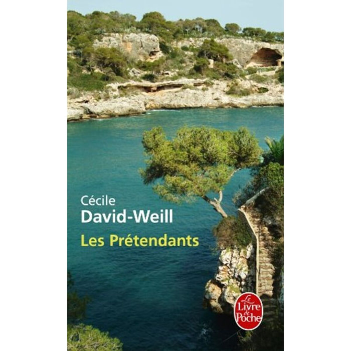 David-Weill, Cécile | Les Prétendants | Livre d'occasion