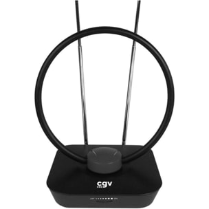 Antenne intérieure CGV AN-LOOP