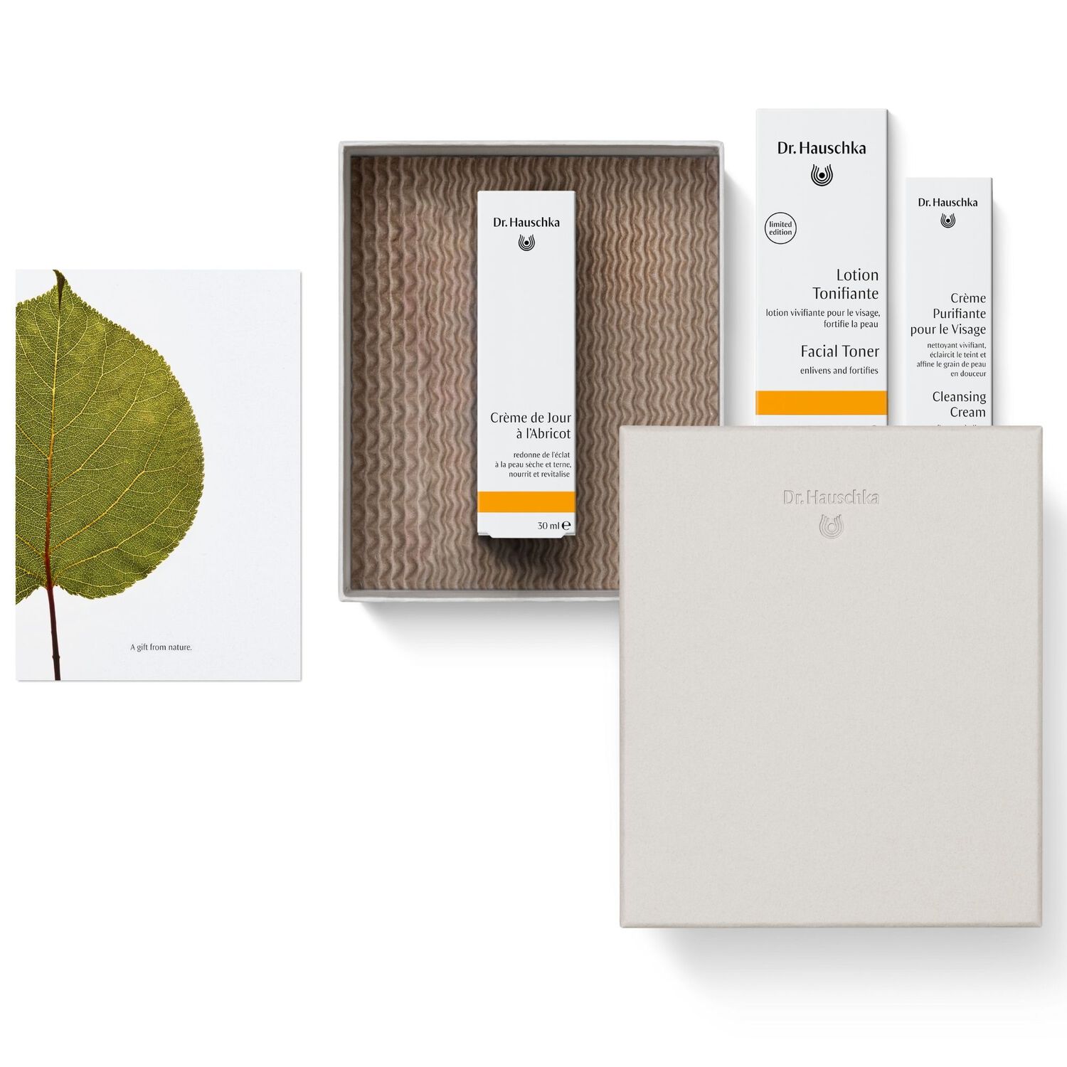 Rituel Fraîcheur & Éclat - Coffret Crème Purifiante Visage 20ml + 2 Produits