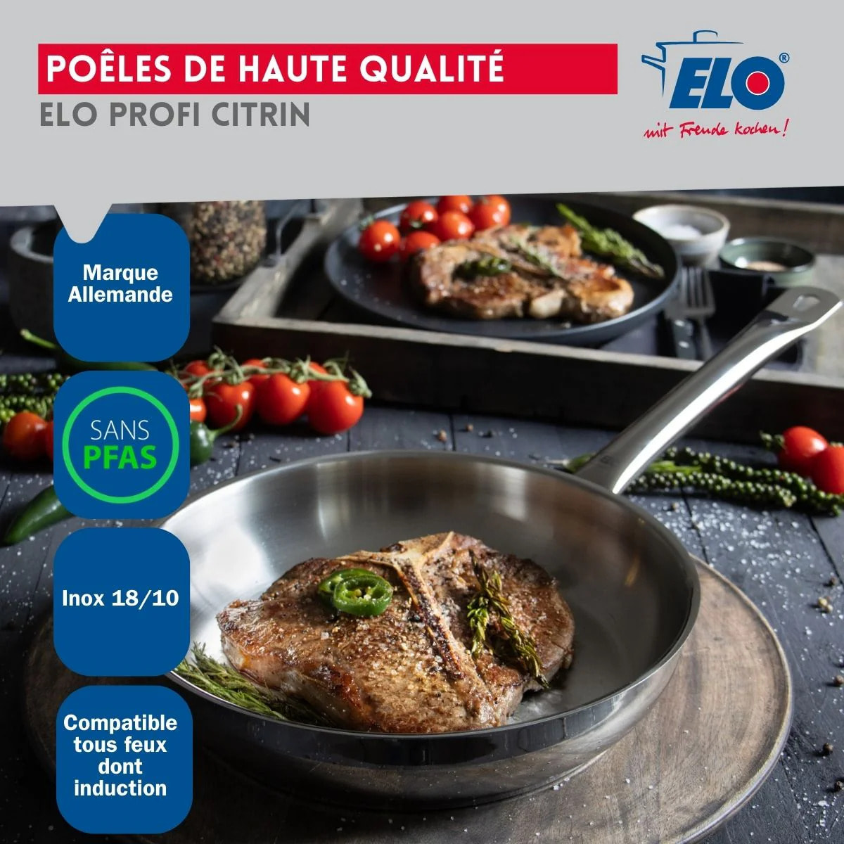 Ensemble de 2 Poêles de cuisson 28 et 32 cm et 2 faitouts 12 et 20 cm Elo Profi Brillant
