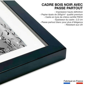 Poster festin de mouettes Affiche sous cadre noir
