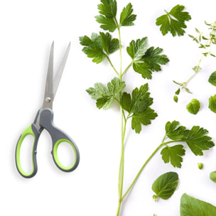 Ensemble de 2 Ciseaux à prise souple Nirosta