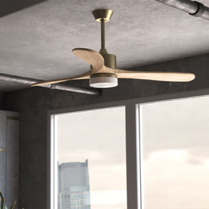 Ventilatori da soffitto EnergySilence Aero 5290 Golden Pro Cecotec