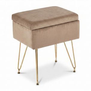 Panca Contenitore in Effetto Velluto con Seduta Imbottita e Vano Portaoggetti, Design Moderno con Gambe in Acciaio per Ingresso, Camera da Letto e Soggiorno