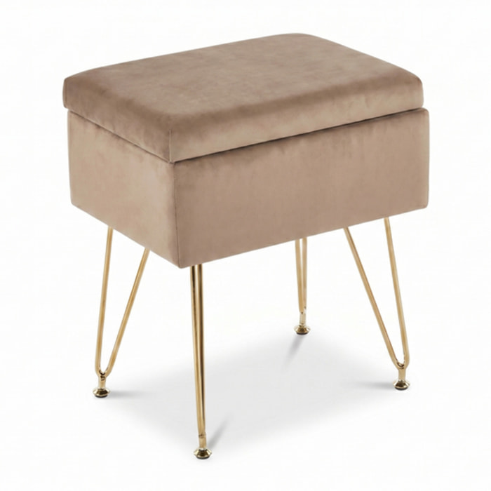 Panca Contenitore in Effetto Velluto con Seduta Imbottita e Vano Portaoggetti, Design Moderno con Gambe in Acciaio per Ingresso, Camera da Letto e Soggiorno