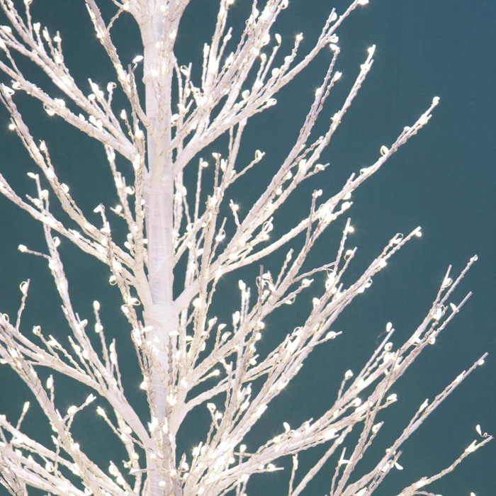 Faggio - Pezzi 1 - 85xH240x85cm - Bianchi Dino SpA