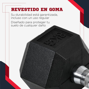 Juego de Mancuernas de 6kg con Barra de Conexión Metálica y Cabeza Hexagonal Juego de Pesas 12kg Total para Entrenamiento en Casa Gimnasio Oficina Negro y Plata