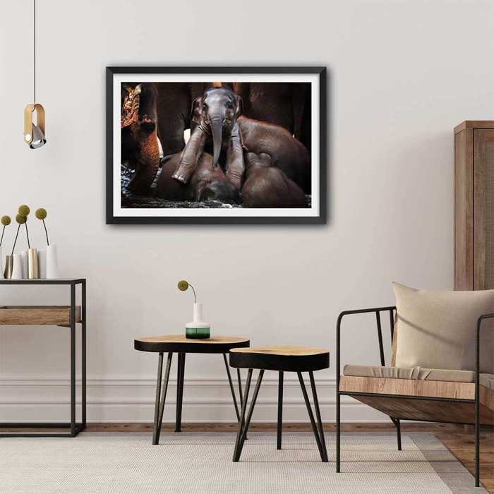 Affiche éléphant petit prince... Affiche seule