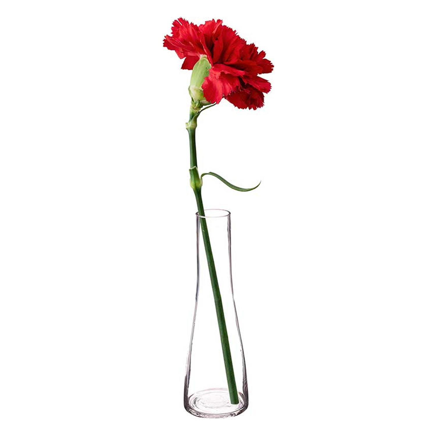 Pack 6 floreros de cristal con base ancha