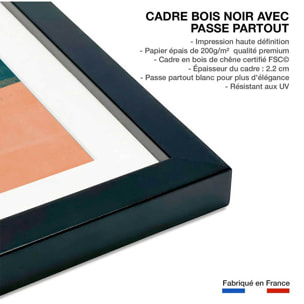 Affiche illustration cactus et soleil rouge Affiche + cadre en bois - Noir