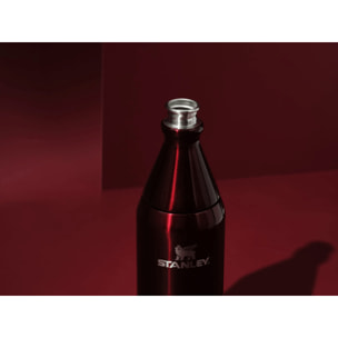 Botella de agua Isotermica - 0,59L - ALL DAY SLIM BOTTLE - Garnet Shine