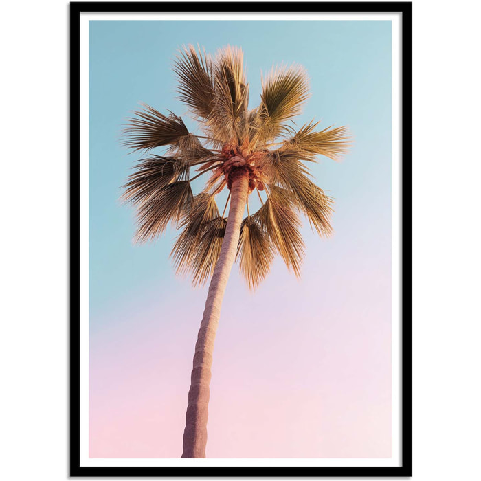 Affiche - Hollywood Palm - Philippe Hugonnard