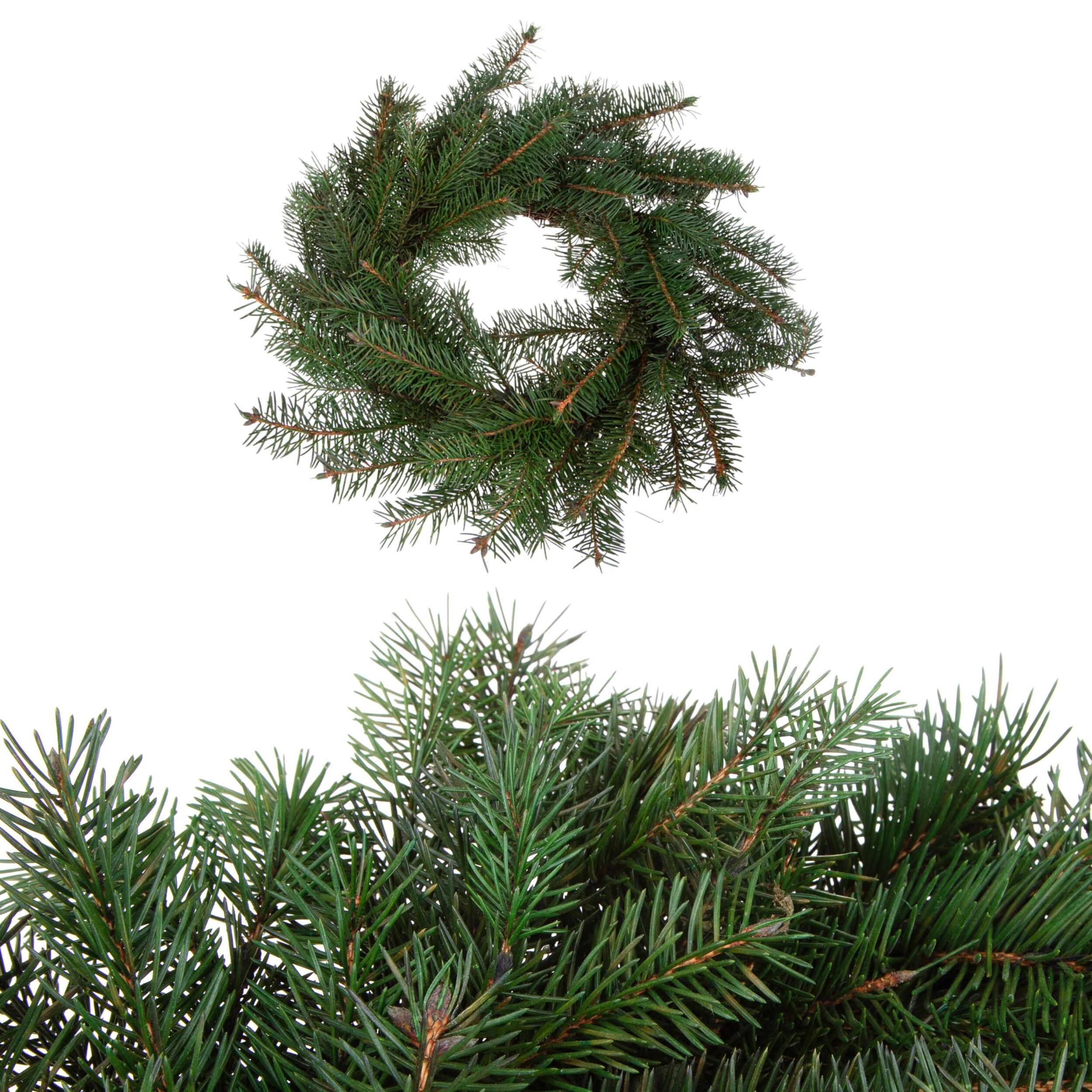 Corona abete - Pezzi 2 - 30xH5x30cm - Bianchi Dino SpA