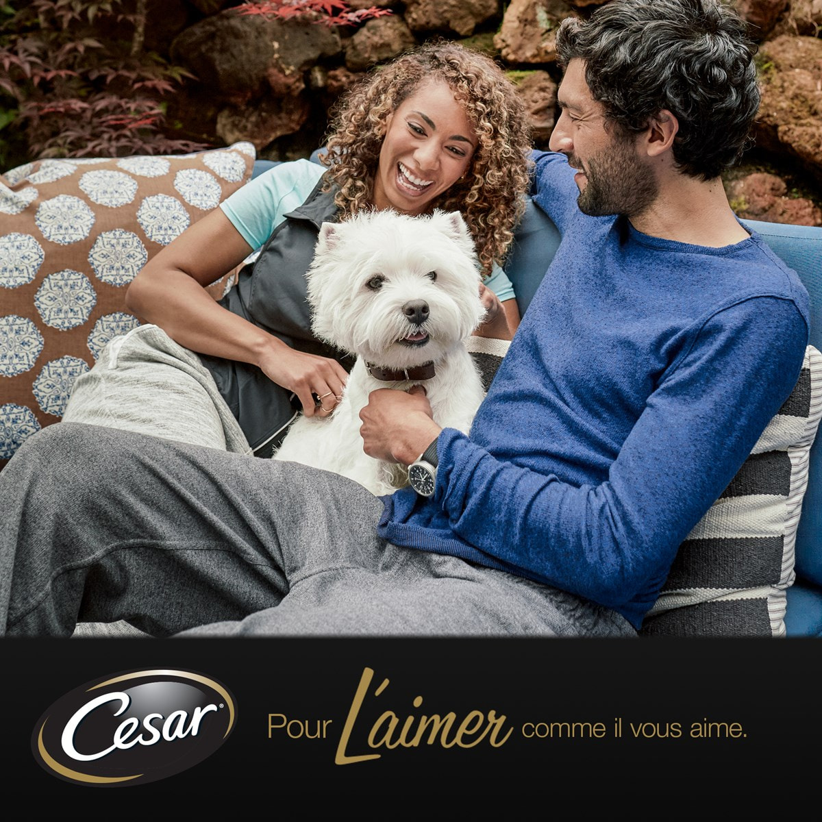 CESAR 24 Barquettes en sauce 4 variétés pour chien 150g (6x4)