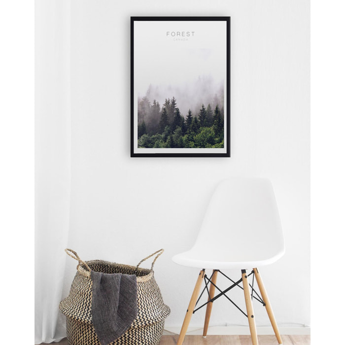 Poster Forest Canada