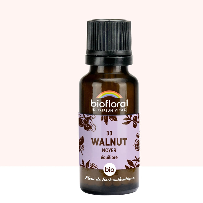 Biofloral - 33 Walnut, Noyer - Bio - 19,5 gr