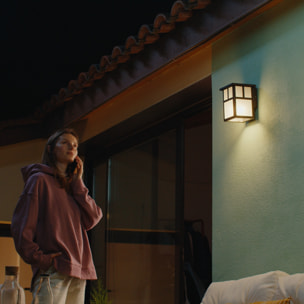 Osaka (5 unidades) Aplique de Pared Exterior Rústico de Estilo Japonés. Bombilla E27. Lámpara Jardín IP23 Marrón Óxido