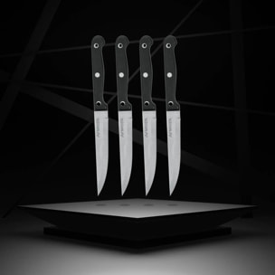 Lot de 4 Couteaux à steak Nirosta Mega 21 cm