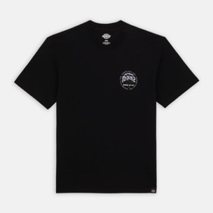 CAMISETA DICKIES  SS STANARDSVILLE TEE