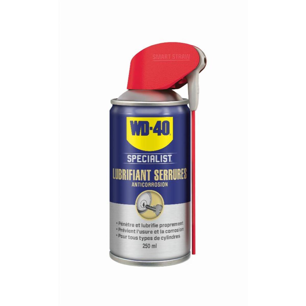 Lubrifiant serrures 250 ml système professionnel WD40 - 33303