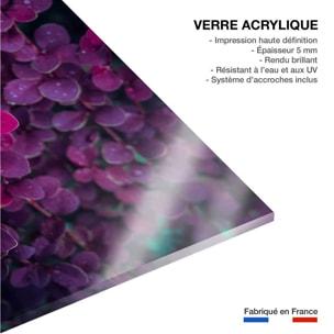 Tableau fleurs de lilas au printemps Tableau plexiglas