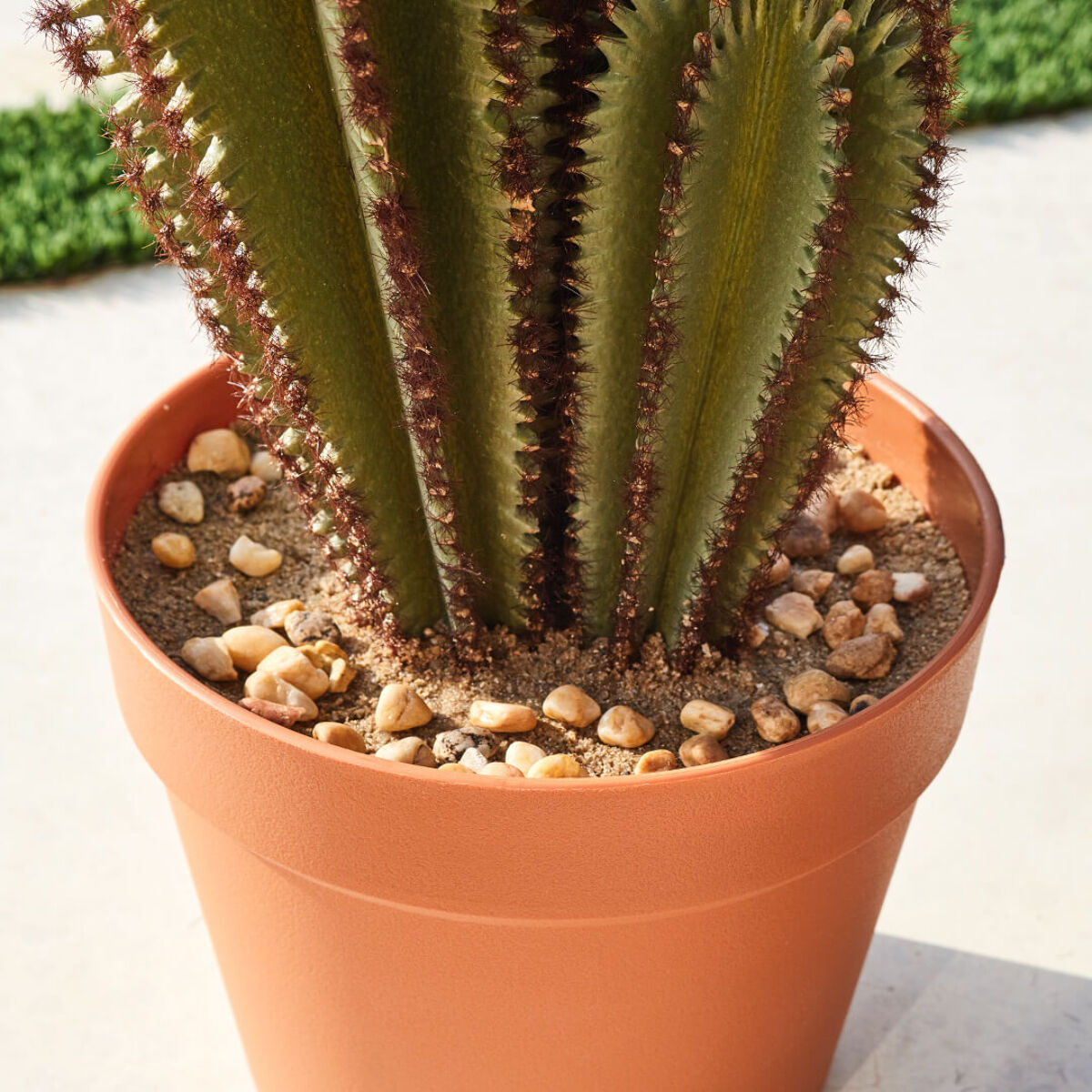 Cactus Artificial Euphorbia Suzannae 90 Cm