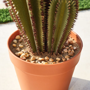 Cactus Artificial Euphorbia Suzannae 90 Cm