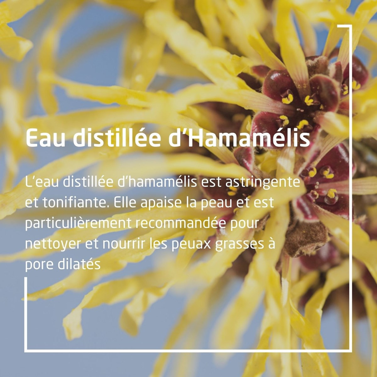 WELEDA - Mousse nettoyante Douceur Hamamélis - 150 ml