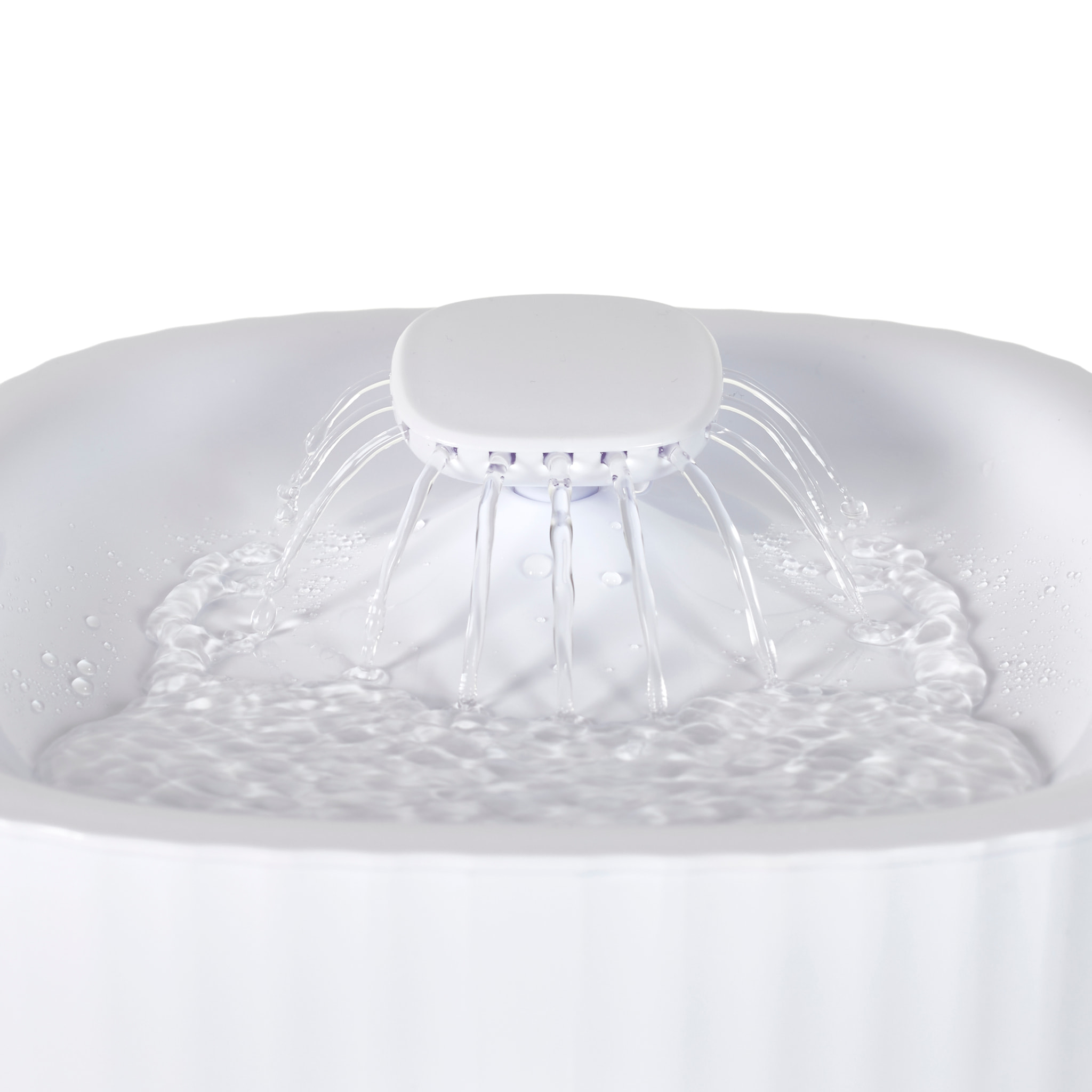 Fontaine A Eau Pour Chat