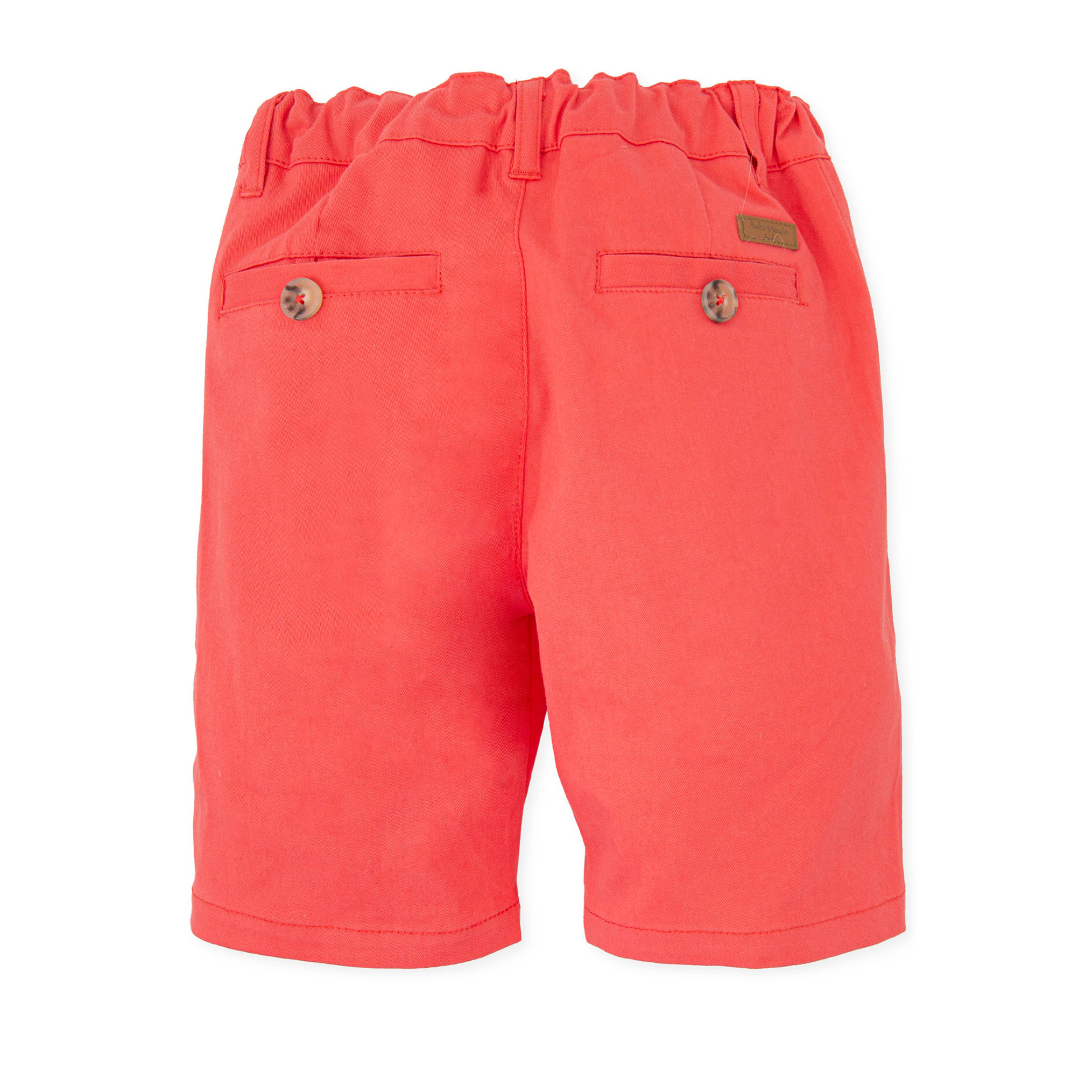 Bermuda - CORAL