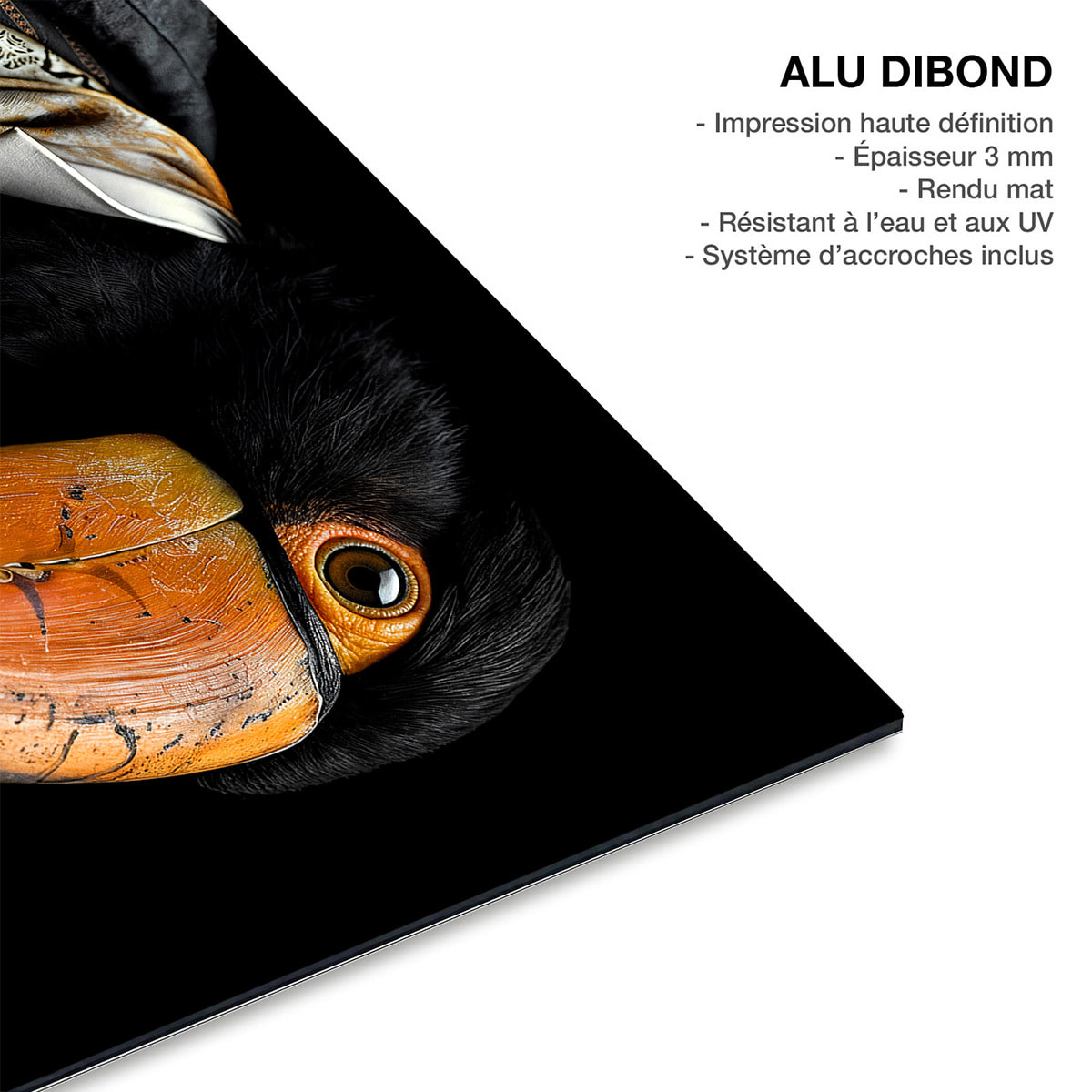 Tableau animaux habillés Toucan wild suits Tableau alu Dibond