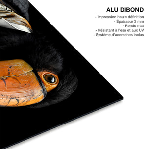 Tableau animaux habillés Toucan wild suits Tableau alu Dibond