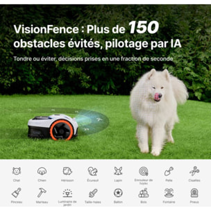 Robot tondeuse NAVIMOW i208 AWD - sans fil périphérique ni antenne, 3 roues motrices, pentes 45%, cartographie auto, 800m²