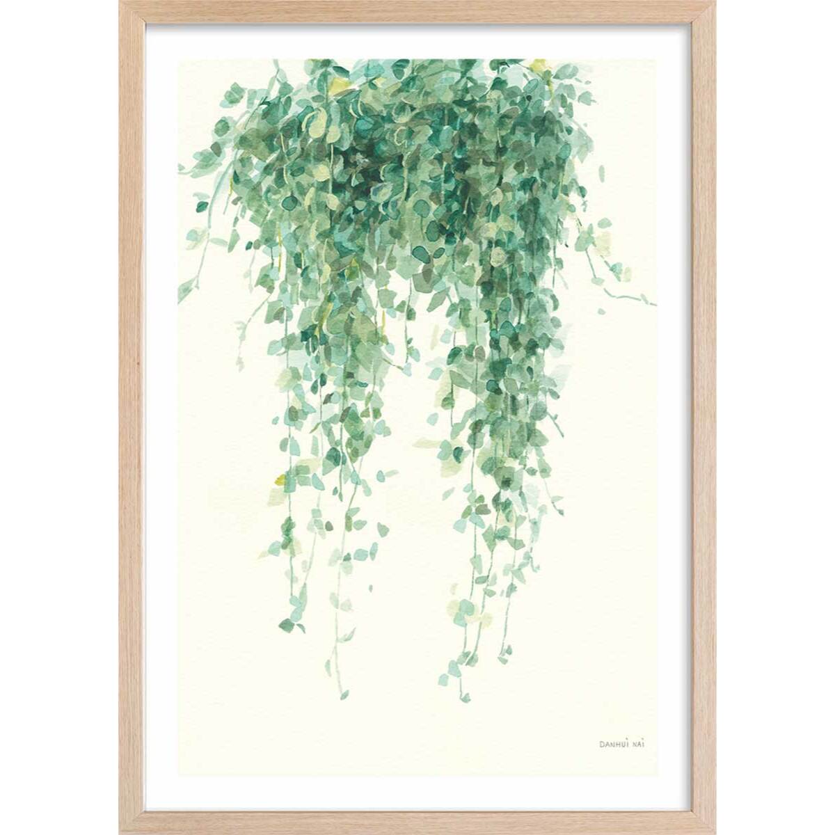 Affiche plante succulente illustrée Affiche + cadre en bois - Chêne