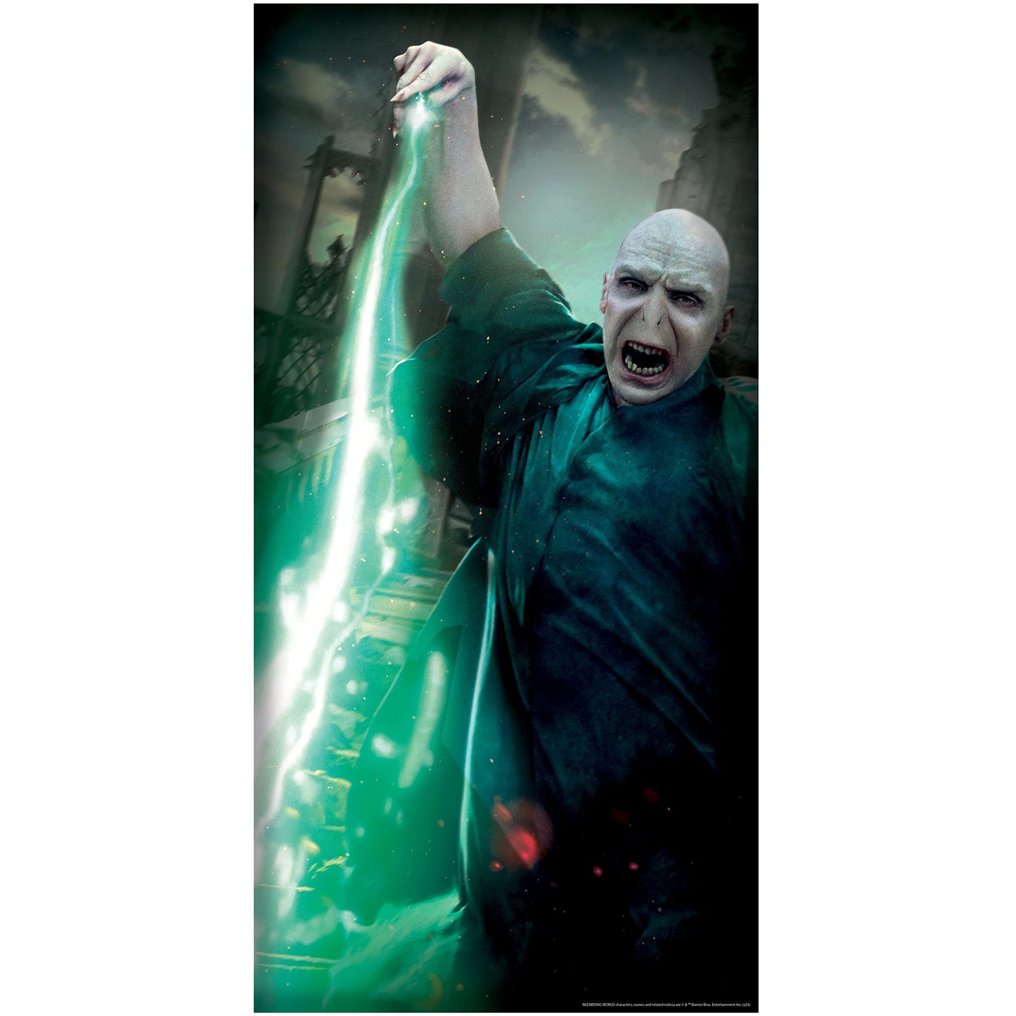 DOOR COVER VOLDEMORT