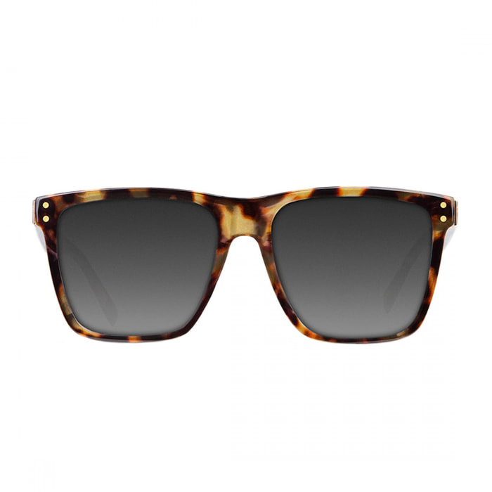 Gafas de Sol Roosevelt II Carey / Brown D.Franklin