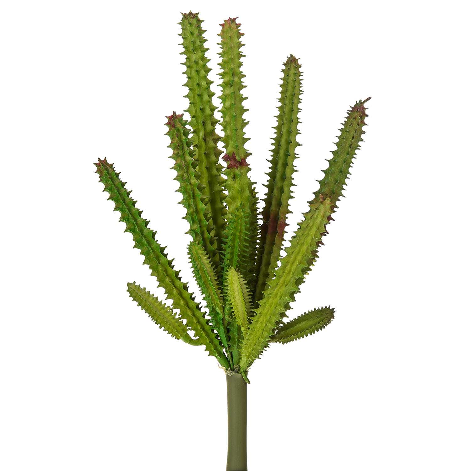 Echeveria Cactus. Altezza 23 Cm - Pezzi 6 - 10X23X8cm - Colore: Verde - Bianchi Dino - Piante Artificiali