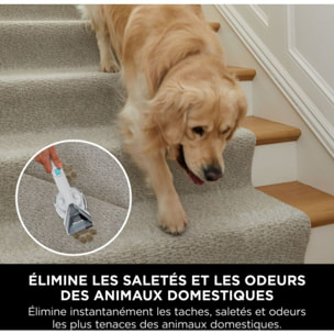 Nettoyeur détacheur SHARK StainStriker PX200EUT