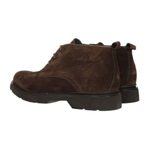 Stivaletti Uomo Tata Italia Marrone