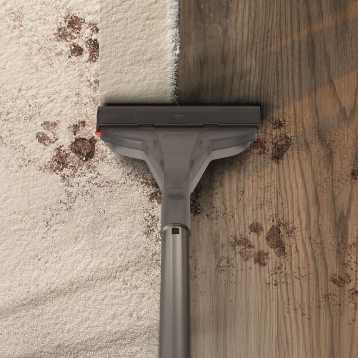 Nettoyeur de sol THOMAS AMFIBIA Pro 4 All