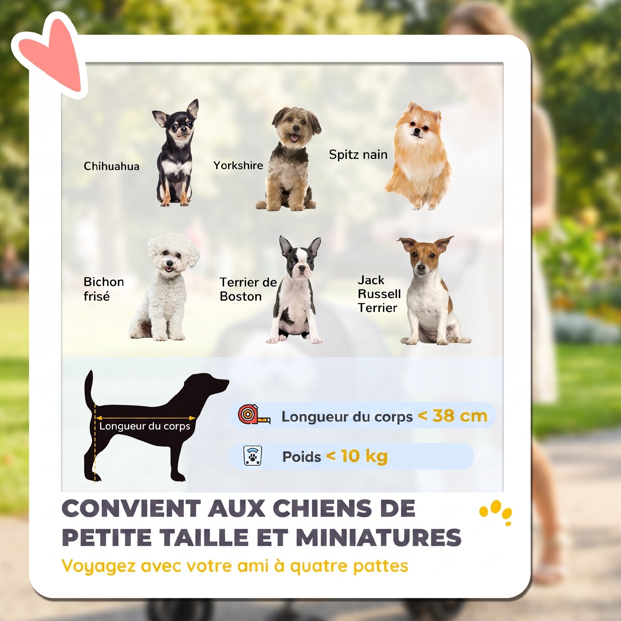 Poussette pour chien pliable 4 roues coussin amovible gris