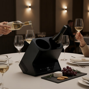 Enfriador Eléctrico de Vino 2 Botellas LVX28