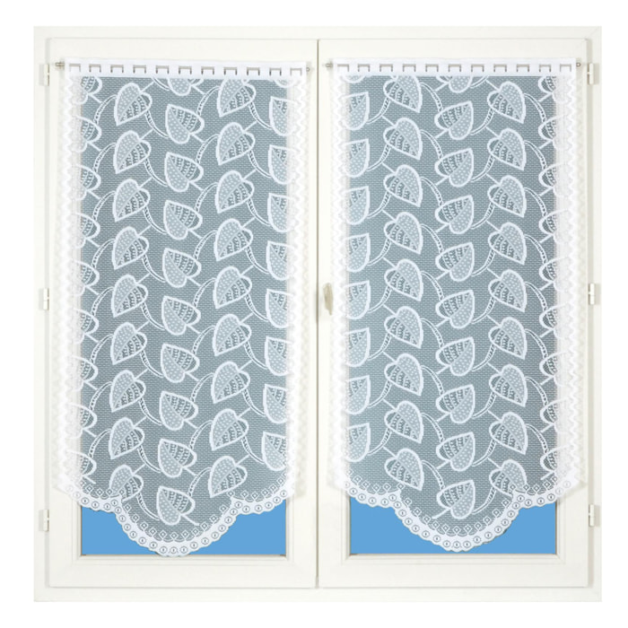 Paire de vitrages dentelle base arrondie feuilles - Blanc