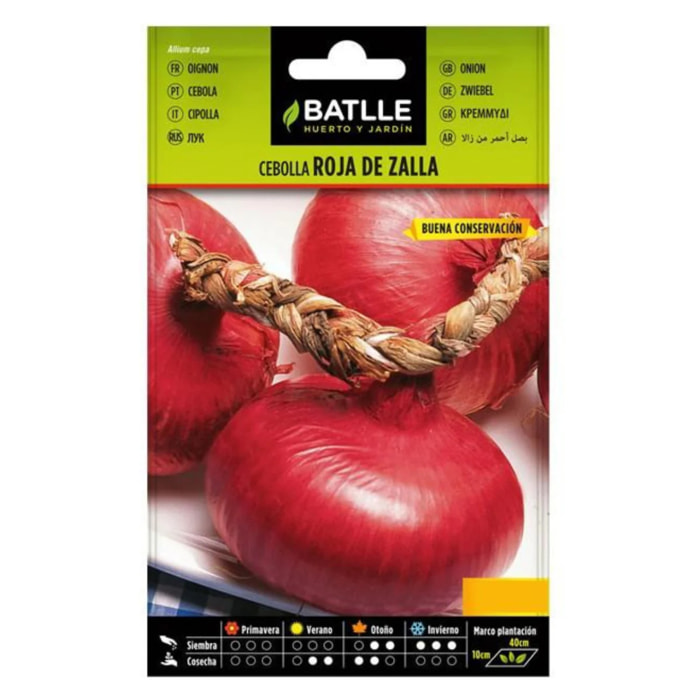 Semillas de Cebolla Roja de Zalla Batlle