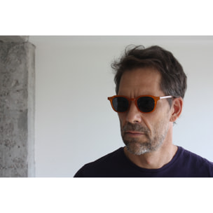 Gafas de sol OCEAN HILL - Miel brillante / Ahumada