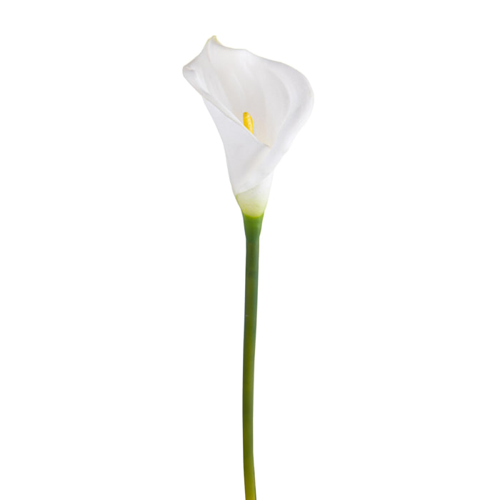 Fiore Di Calla Semi Aperta. Altezza 66 Cm - Pezzi 6 - 5X66X5cm - Colore: Bianco - Bianchi Dino - Fiori Artificiali