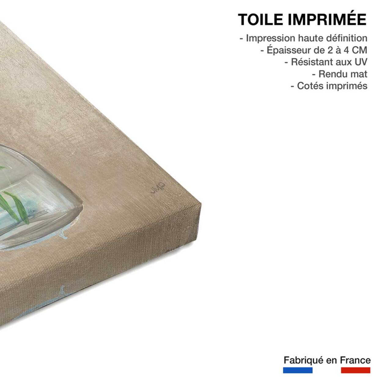 Tableau fleurs médicinales Toile imprimée