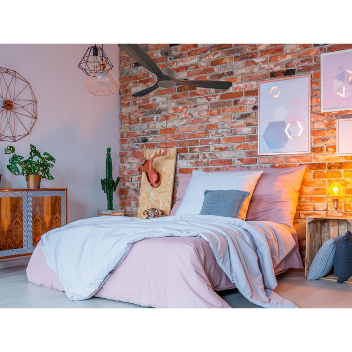 Ventilateur de plafond Réversible  Thermostat Wifi Moteur à courant continu Toits en pente Télécommande Hypersilence Mémoire Shopify Vendible (AUTOMATIQUE) 40   W Chocolat
