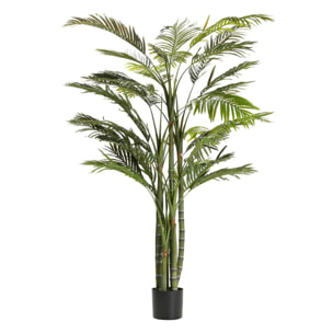 Planta Palmera Areca 110x110x190 Cm